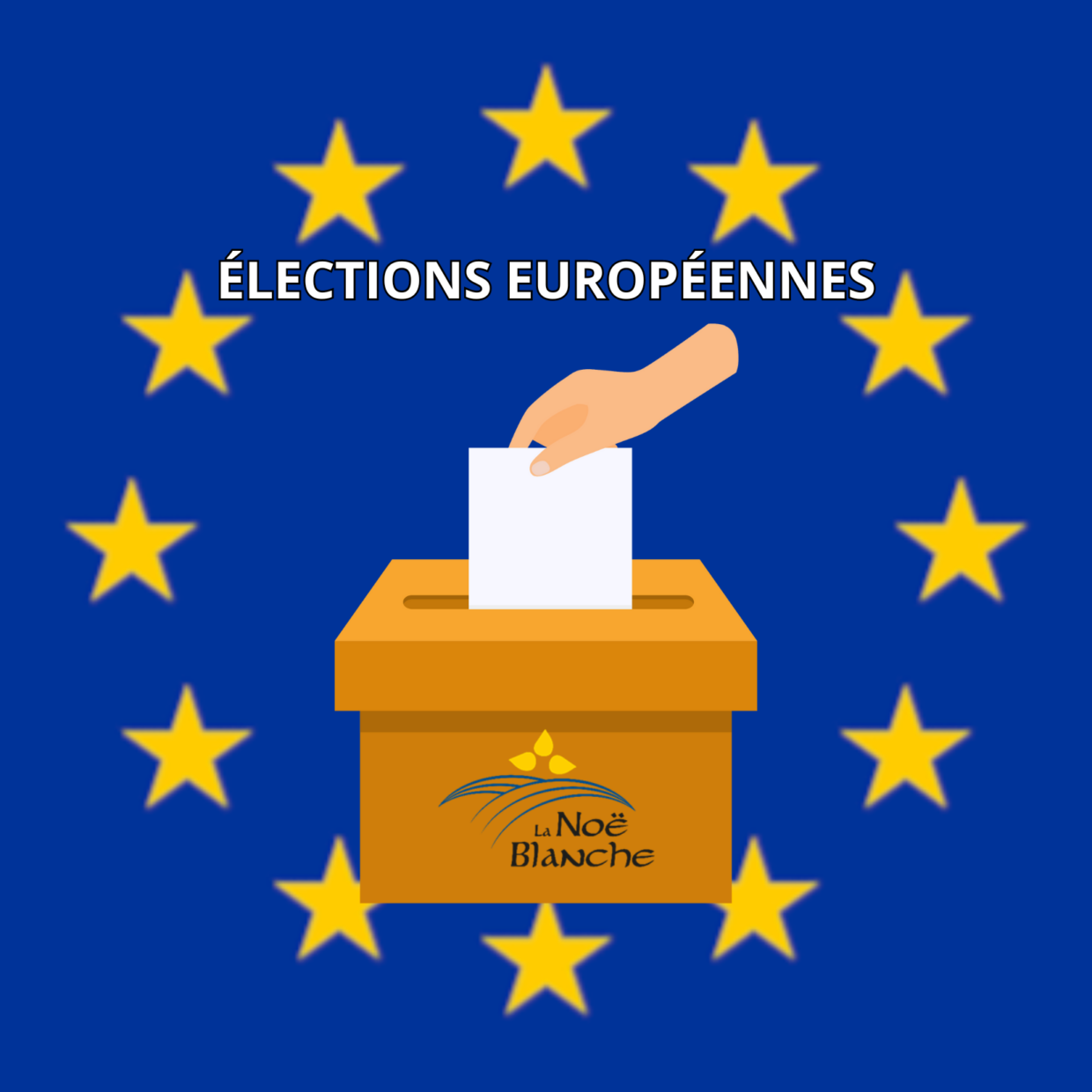 Élections européennes (1)